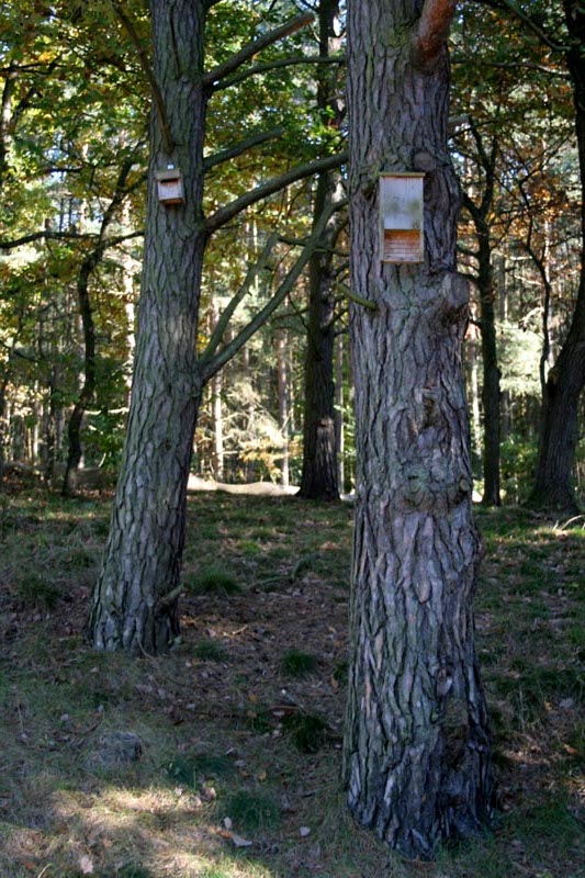 Killikus&reg; Fotographie